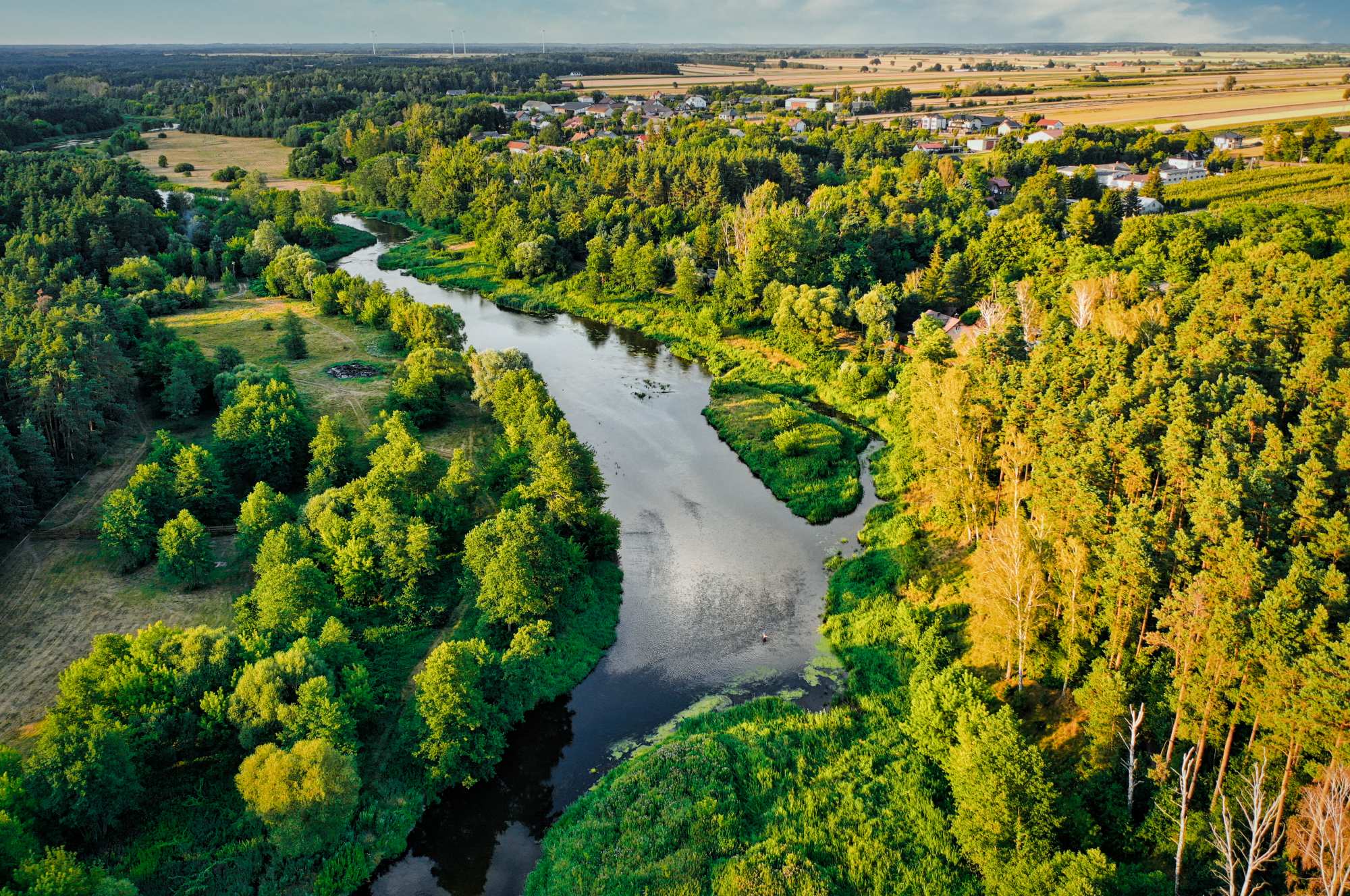 Spływy kajakowe rzeką Wkrą